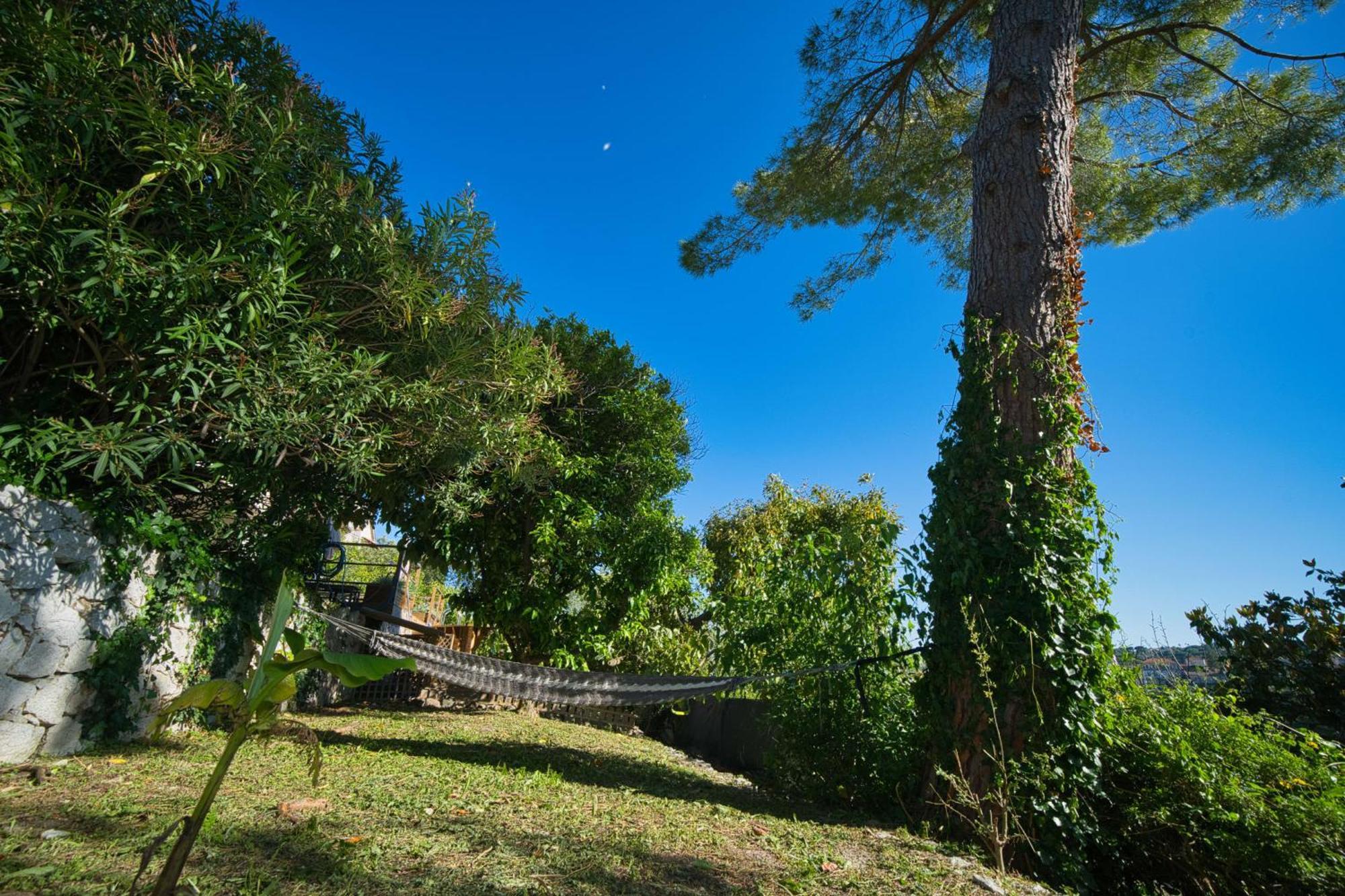 06Q - Biot Beautiful Provencal Villa With Swimming Pool Ngoại thất bức ảnh